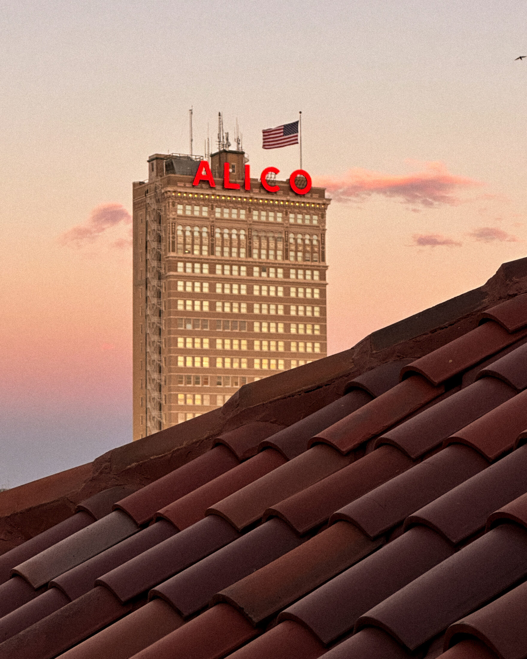 View of ALICO building with signage during sunset